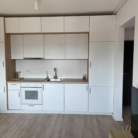 Platinum Luxury Apartment Near Presidential Palace Bukareszt Zewnętrze zdjęcie